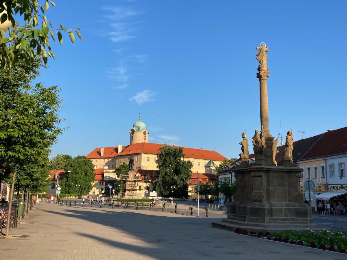 Zahradni Domek V Podebradech Подебрады Экстерьер фото